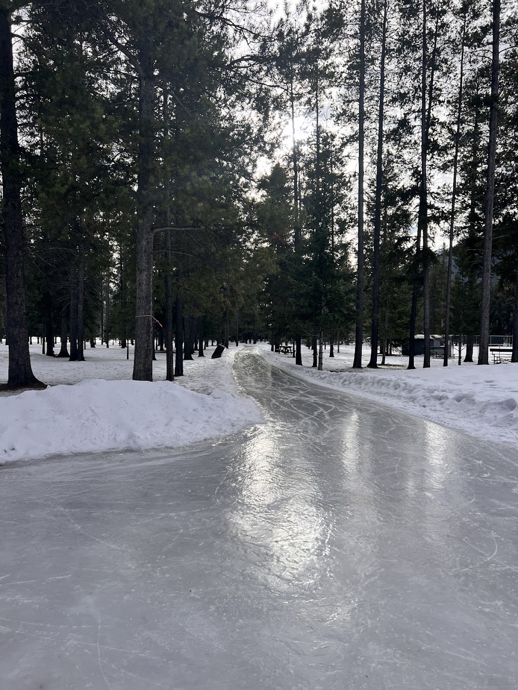 Lions Park Skating Loop | 401 Red Cedar Dr, Sparwood, BC V0B 2G1, Canada | Phone: (250) 425-6271