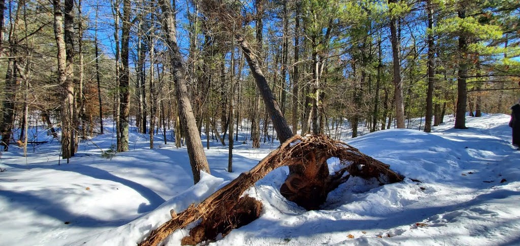 Eagles Nest Lookout | Greater Madawaska, ON K0J 1H0, Canada | Phone: (800) 669-4861