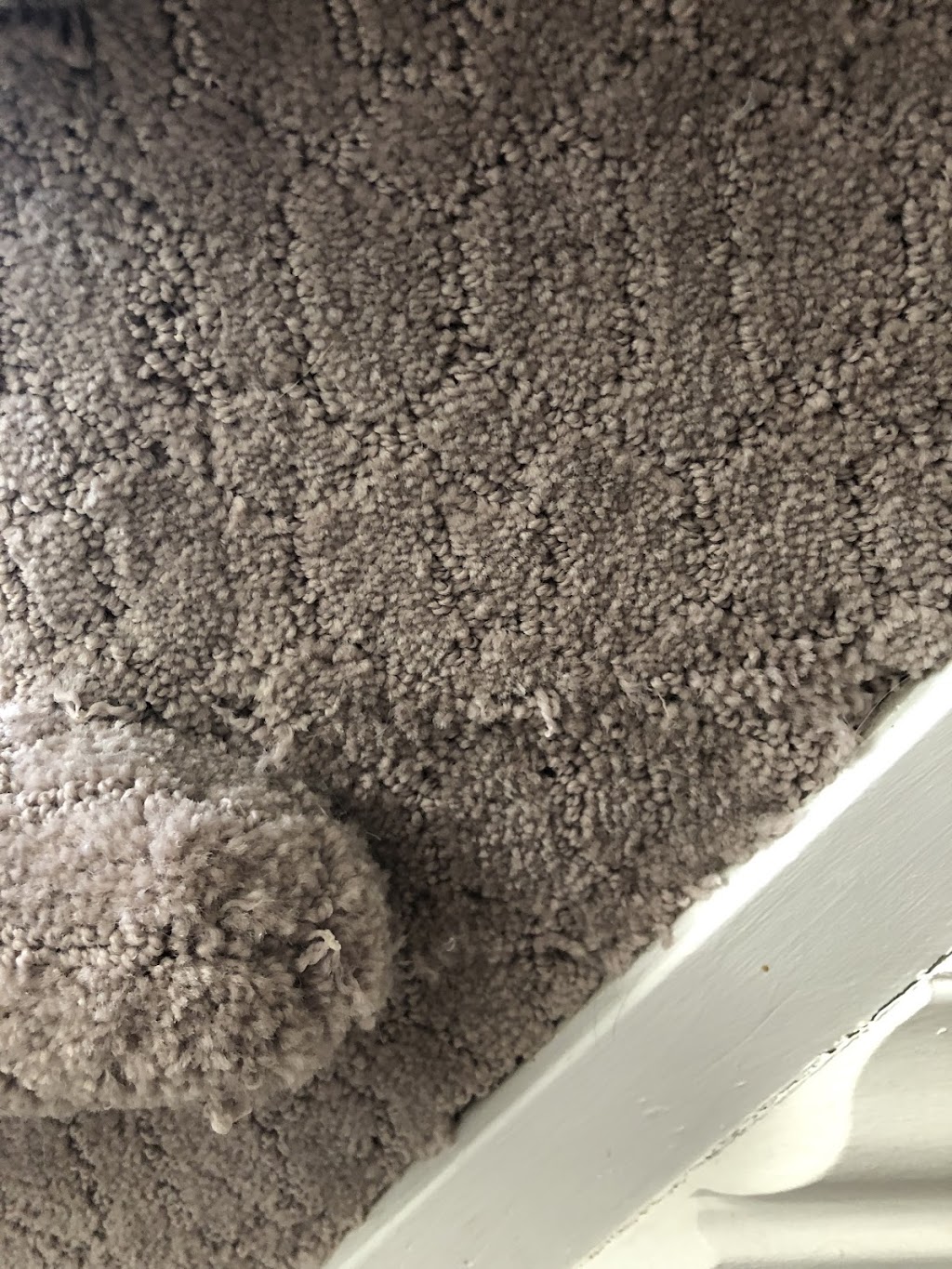 Carpet Sense and Flooring | 36 Colonnade Rd N, Nepean, ON K2E 7J6, Canada | Phone: (613) 729-3989