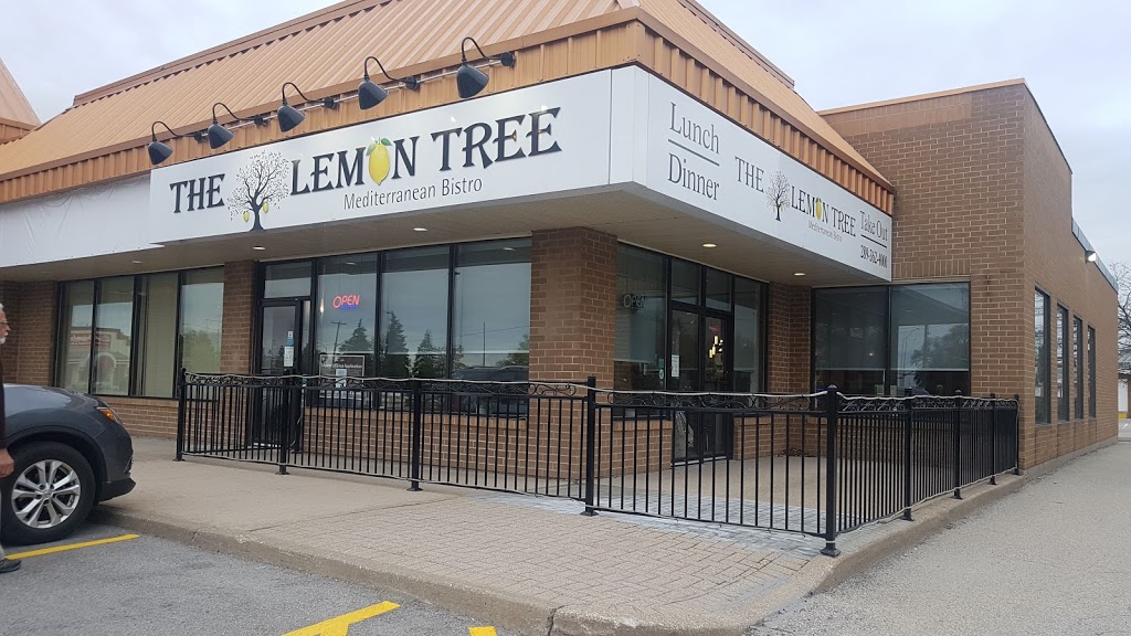 The Lemon Tree | 395 Ontario Street #A1, St. Catharines, ON L2N 7N6, Canada | Phone: (289) 362-4000