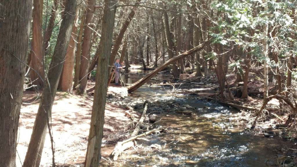 Fletcher Creek Ecological Preserve | Concession Rd 7, Puslinch, ON N0B 2J0, Canada