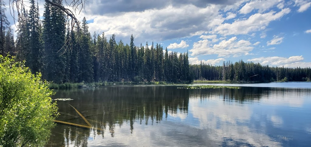 Pennask Lake Provincial Park | Sunset Main Forest Service Rd, Douglas Lake, BC V0E 1S0, Canada | Phone: (800) 689-9025