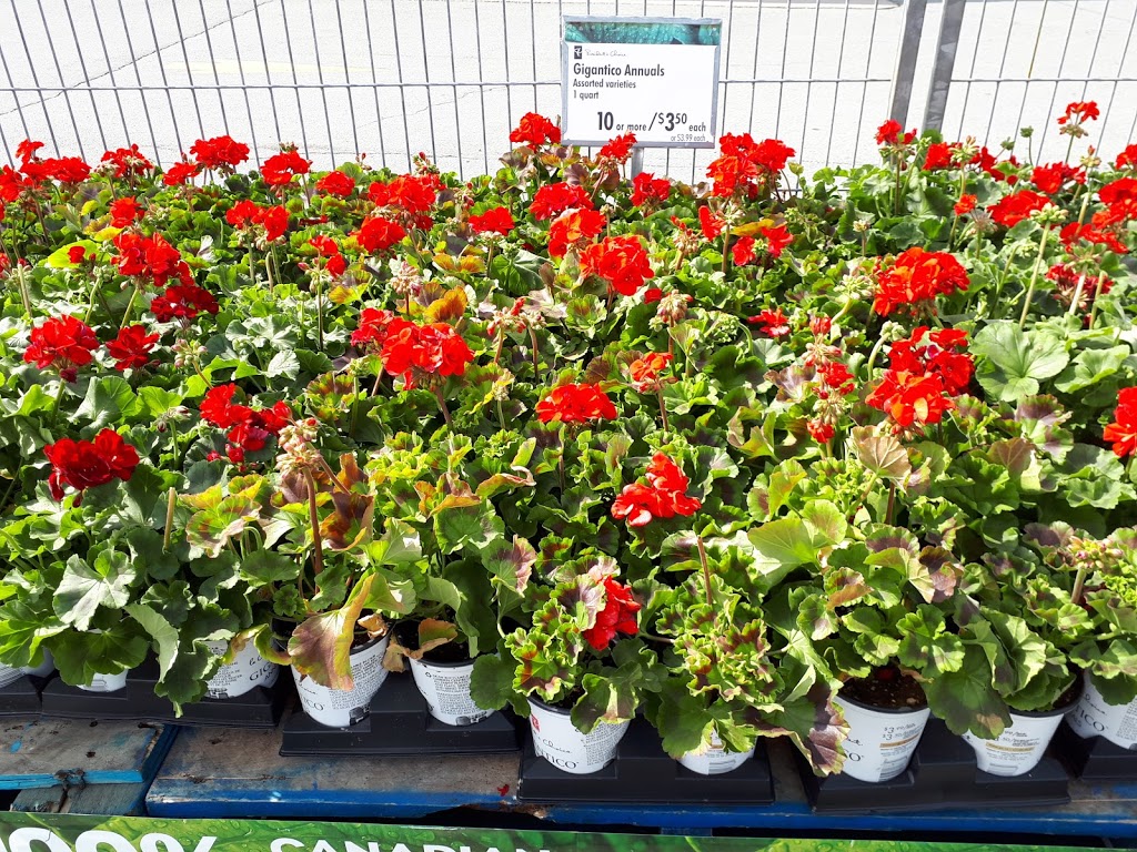 Superstore Garden Center | 745 Sackville Dr, Lower Sackville, NS B4E 2R2, Canada | Phone: (902) 864-2299