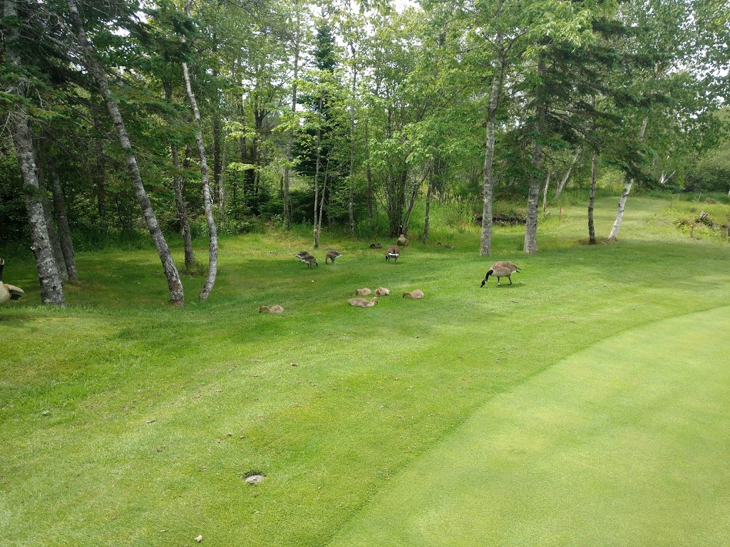 Airlane Golf Club | 2103 Old Guysborough Rd, Goffs, NS B2T 1B9, Canada | Phone: (902) 873-4040