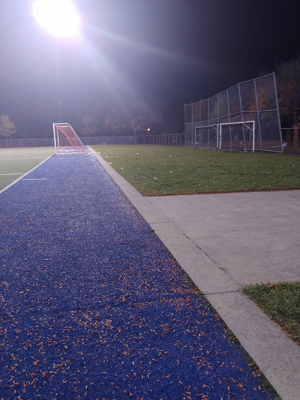 Parc Louis-Riel soccer field | Av. de Carignan, Montréal, QC H1M 2V4, Canada | Phone: (514) 872-0311