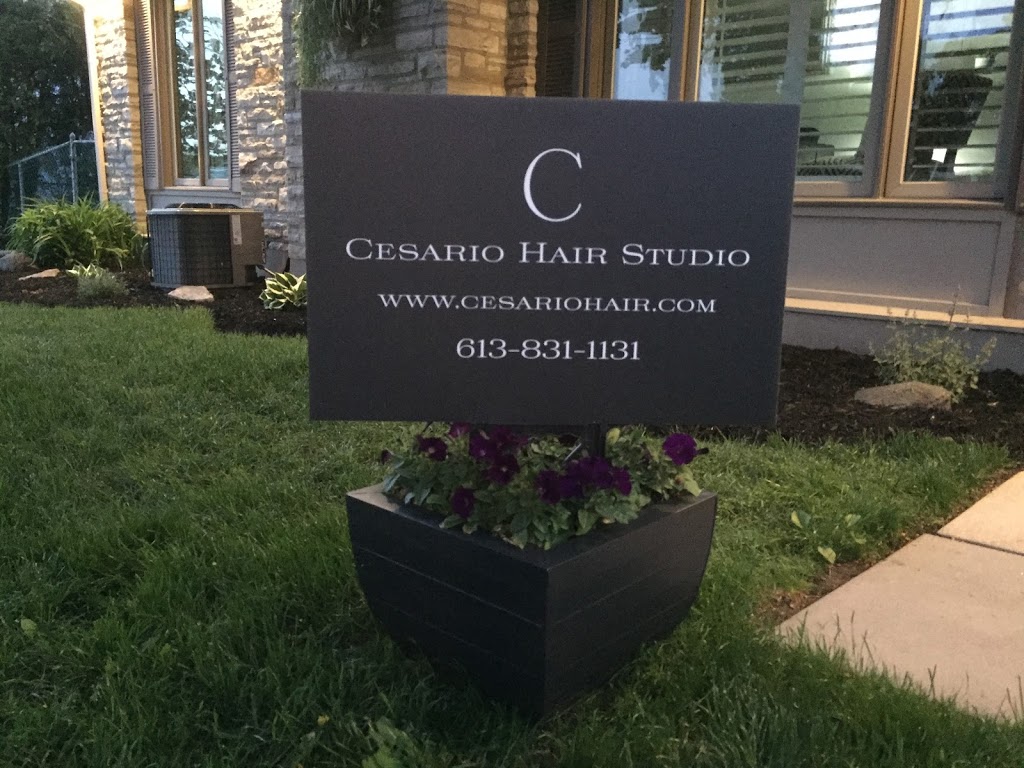 Cesario Hair Studio | 161 Banning Rd, Kanata, ON K2L 1C5, Canada | Phone: (613) 831-1131