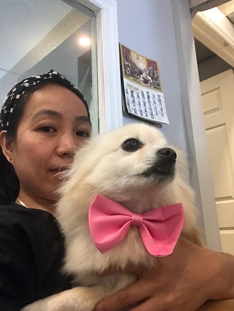 Muttedly Pawsome Dog Grooming | 86 Inchbury St, Hamilton, ON L8R 3B5, Canada | Phone: (289) 684-3469