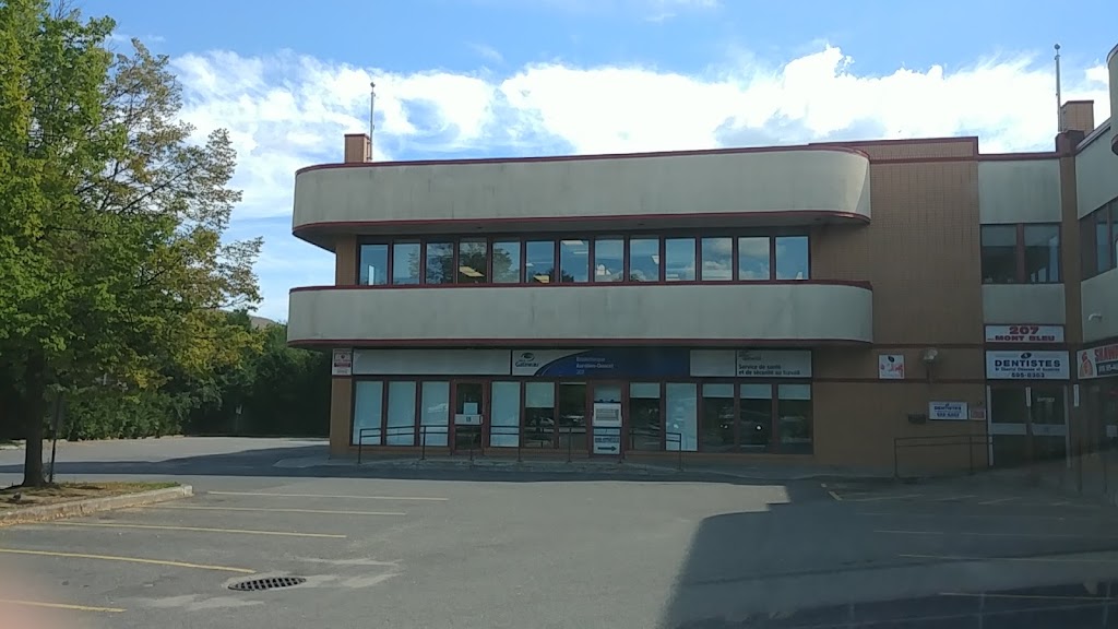 Library Aurélien-Doucet | 207 Boulevard du Mont-Bleu, Gatineau, QC J8Z 3G3, Canada | Phone: (819) 595-7490