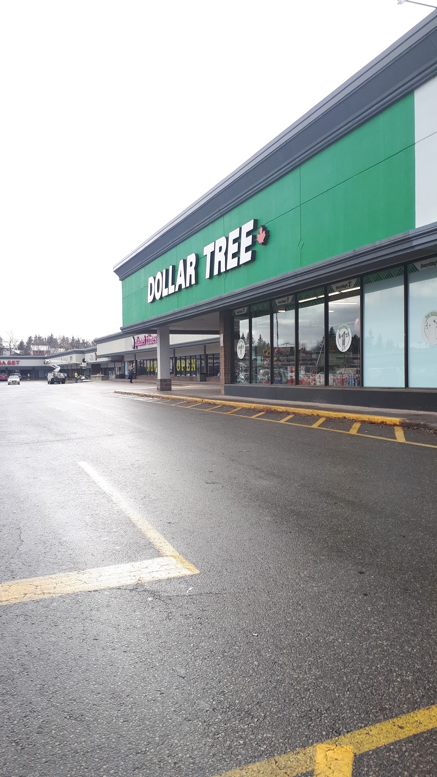 Dollar Tree | 700 Strasburg Rd, Kitchener, ON N2E 2M2, Canada | Phone: (519) 745-9888