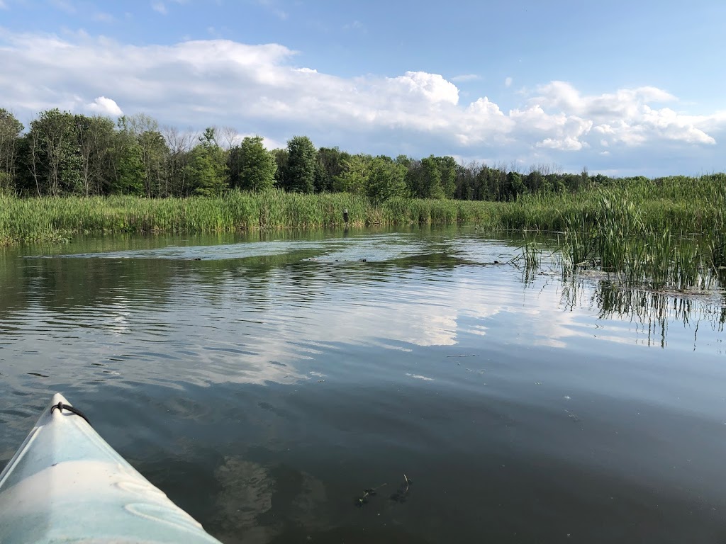 Woods Creek Kayak Launch | Grand Island, NY 14072, USA