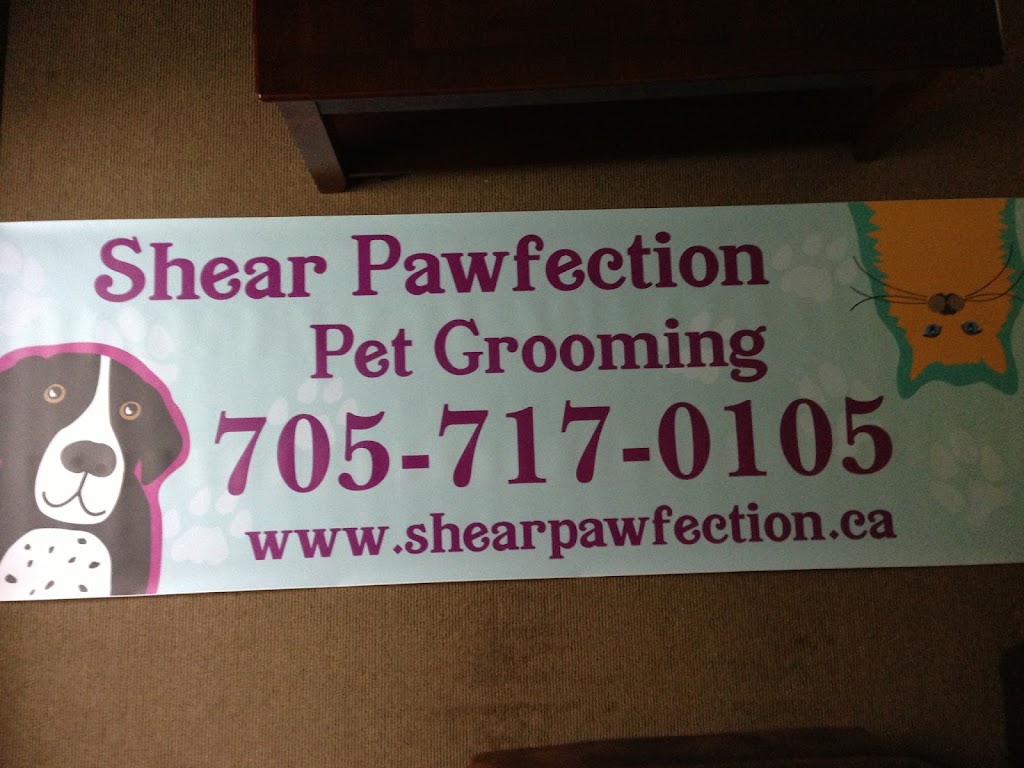 Shear Pawfection Pet Grooming | 9752 County Rd 93, Midland, ON L4R 4L9, Canada | Phone: (705) 717-0105