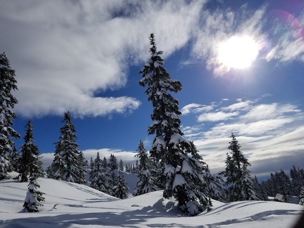 Elsay Lake Trail | Unnamed Road, North Vancouver, BC V7H, Canada