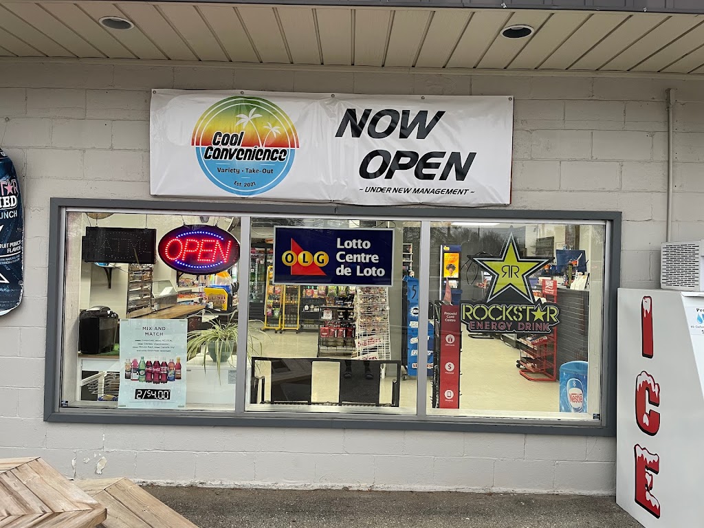 Cool Convenience | 150 North Street E, Tillsonburg, ON N4G 1B5, Canada | Phone: (519) 842-5748