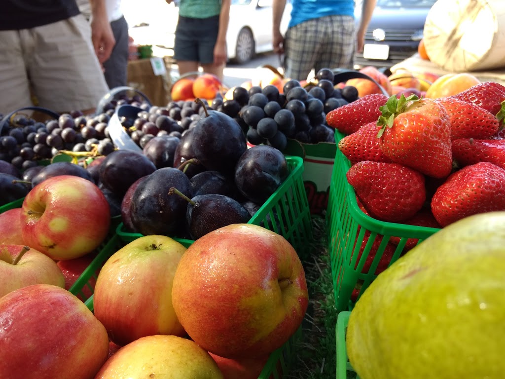 Canal Road Farmers Market-Holland Marsh Food Market | 1153 Canal Rd, Bradford, ON L3Z 2A6, Canada | Phone: (416) 577-1241