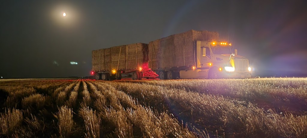 Borderland Hay & Straw | Plum Coulee, MB R0G 1R0, Canada | Phone: (204) 312-0063