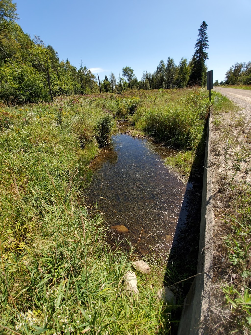 Saugeen Conservation Lands | Chepstow, ON N0G 1K0, Canada | Phone: (519) 367-3040