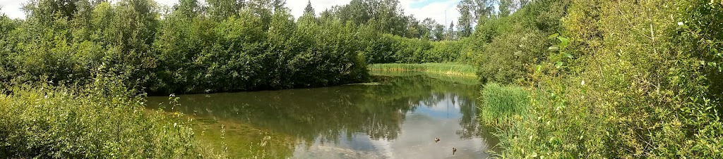 North Creek Duck Pond | 18590 70 Ave, Surrey, BC V4N 6B6, Canada