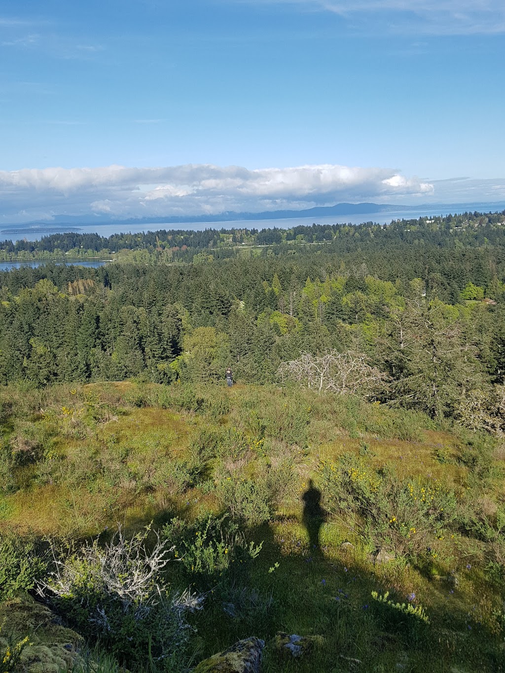 Observatory Hidden View Point | Saanich, BC V9E 2A9, Canada