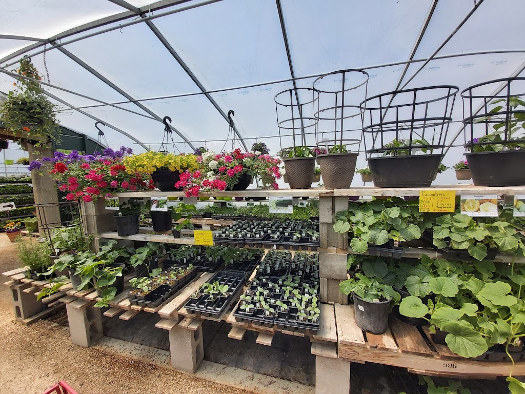 Falk Nurseries | 23062 PR 311, New Bothwell, MB R0A 1C0, Canada | Phone: (204) 388-4927