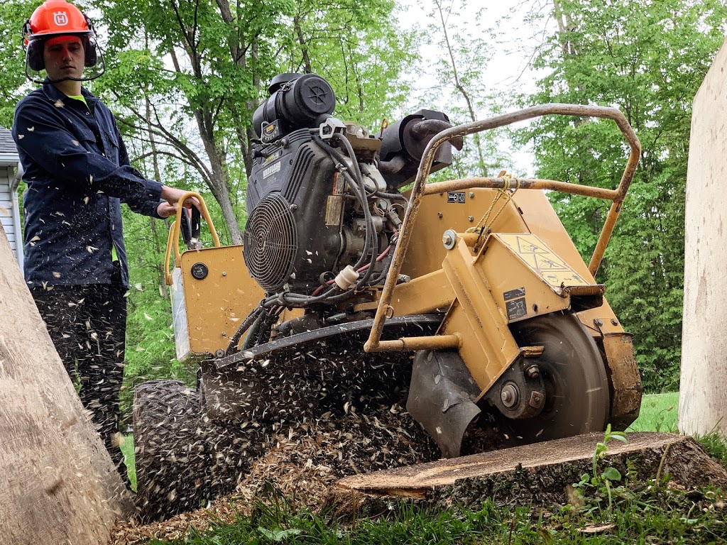 VS Tree Services | 4886 Bank St, Gloucester, ON K1X 1G7, Canada | Phone: (613) 774-5296