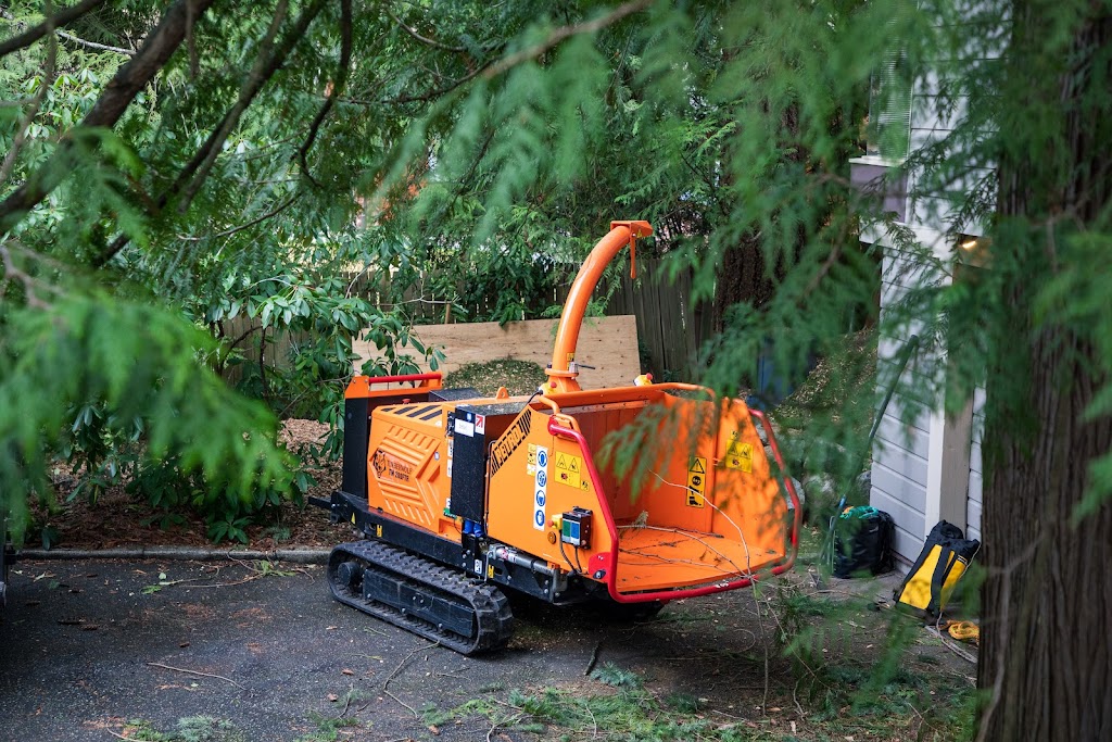 Strathcona Tree Care | 141 Marich Ln, Courtenay, BC V9N 9V2, Canada | Phone: (236) 471-6510