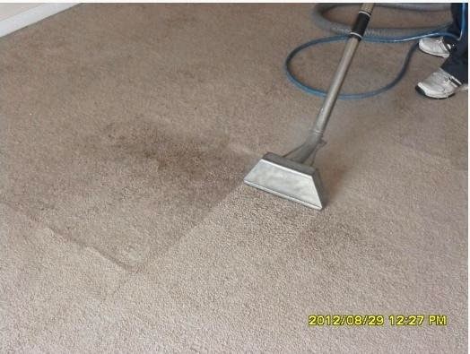 Windsor Steam Carpet & Duct Cleaning | 3791 Maguire St, Windsor, ON N9E 4T2, Canada | Phone: (519) 258-3545