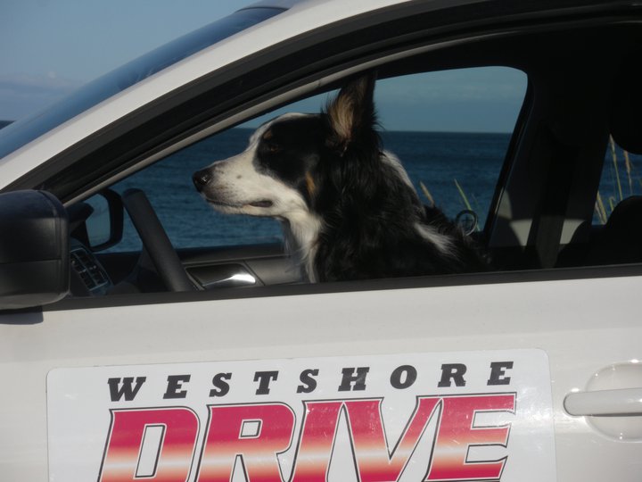 Westshore Driving School | 3376 Happy Valley Rd, Victoria, BC V9C 0E4, Canada | Phone: (250) 896-6777