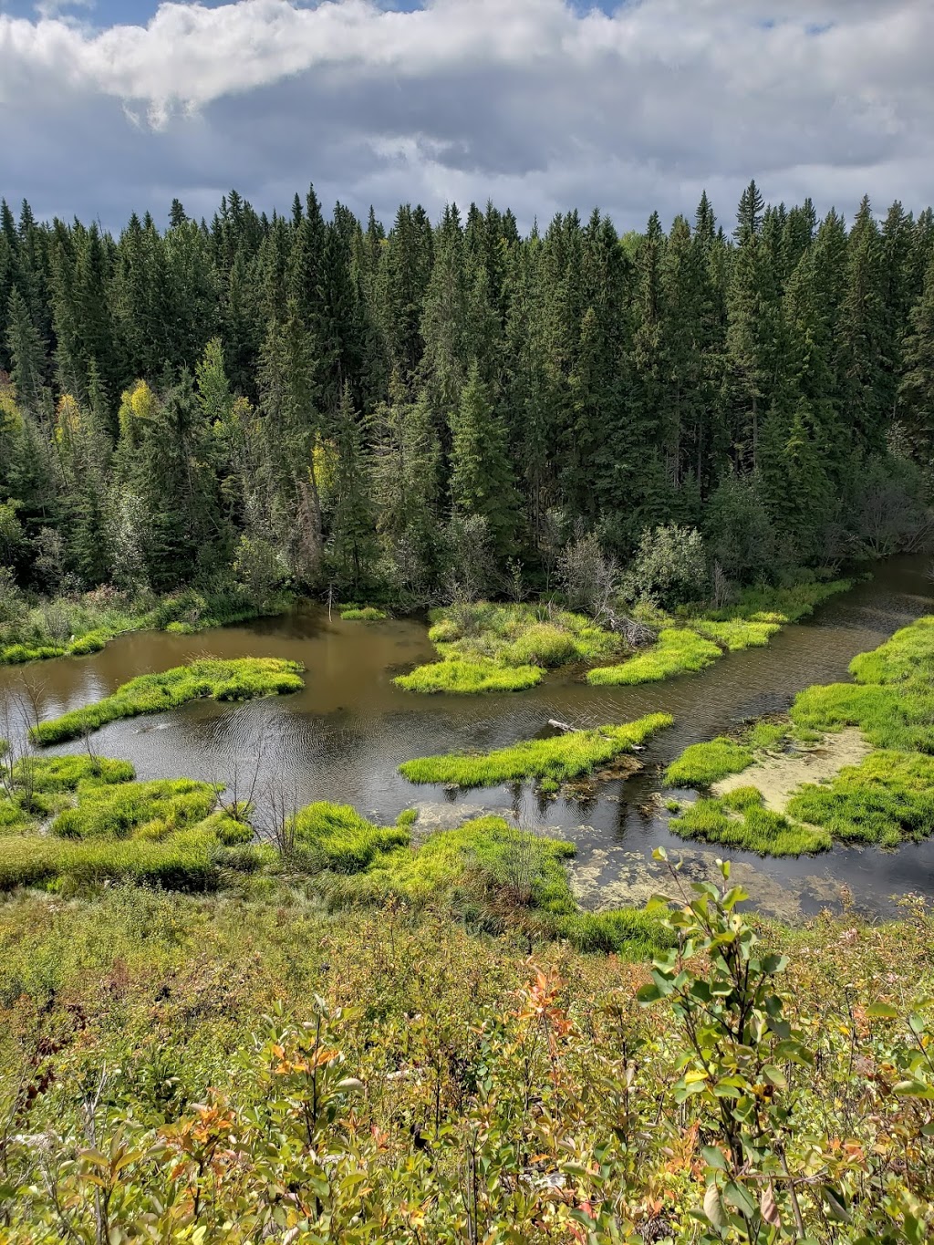 Mound Red Park | Wetaskiwin County No. 10, AB T0C 2V0, Canada