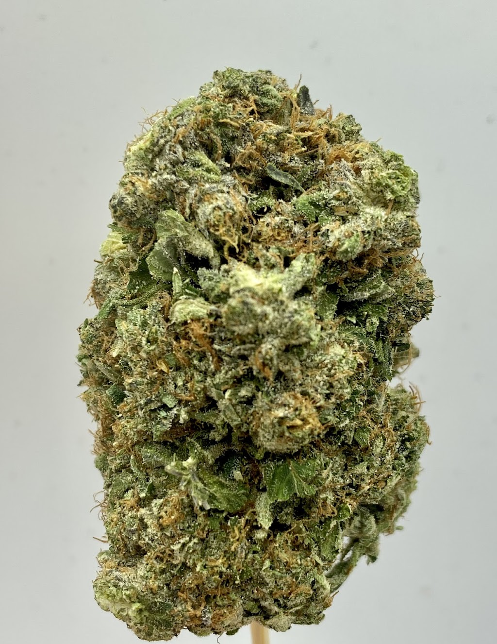 Weed Delivery Markham I Golden Budz Dispansery | 138 Robinson St, Markham, ON L3P 5H5, Canada | Phone: (647) 370-2365