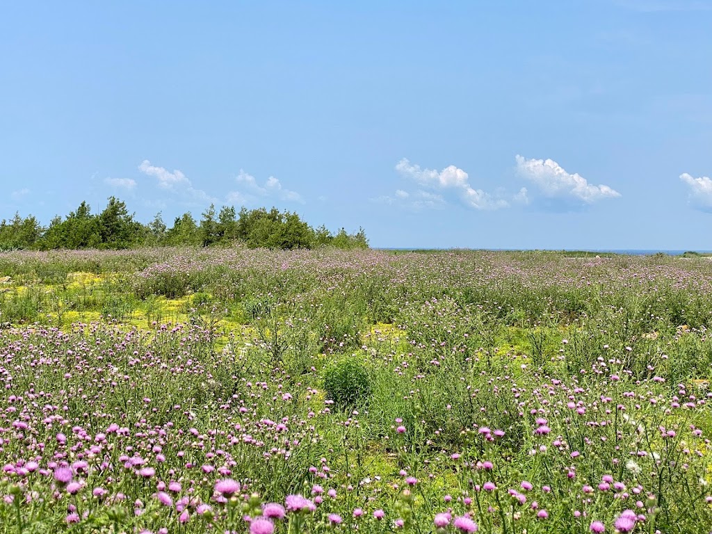 Limestone Islands Provincial Park | Carling, ON, Canada | Phone: (705) 342-5492