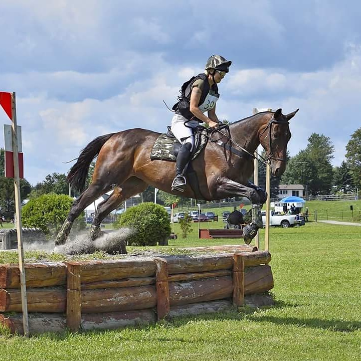 The Army Horse Academy | 612 Smith Rd, Navan, ON K4B 1H8, Canada | Phone: (613) 807-7168