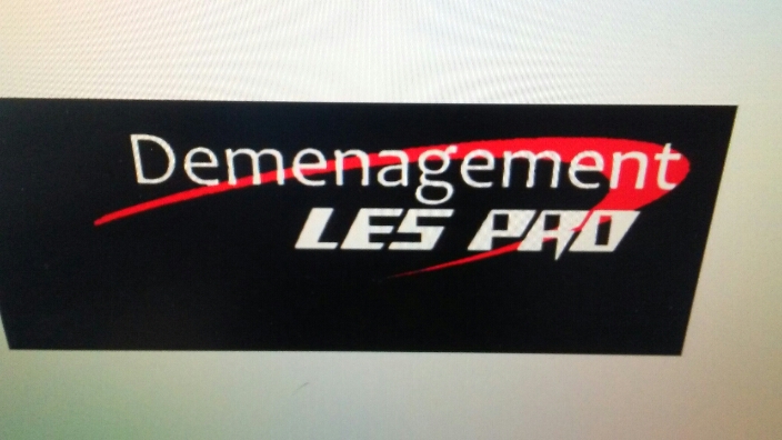 Demenagement LesPro | 2120 Rue Kirouac, Terrebonne, QC J7M 2B1, Canada | Phone: (514) 245-8435