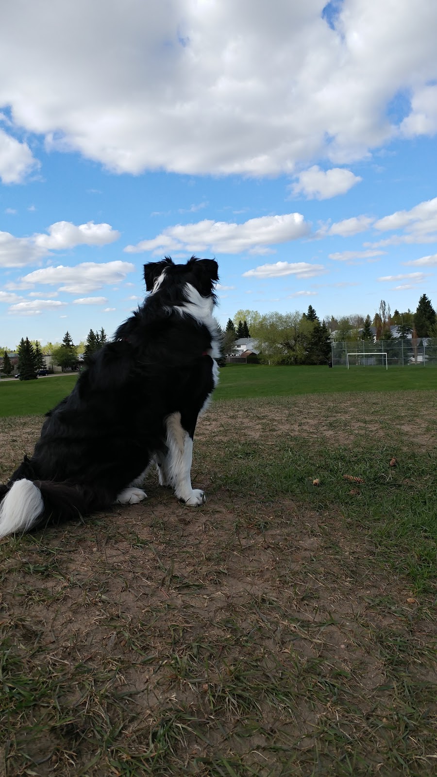 Sherwood Heights Park | Sherwood Park, AB T8A 2G6, Canada