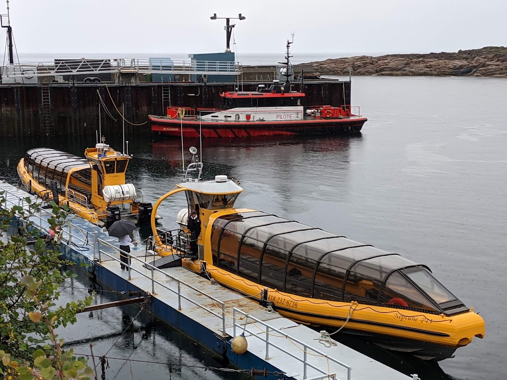 Croisières Baleines Neptune Escoumins | 50 route 138, jonction, Rue des Pilotes, Les Escoumins, QC G0T 1K0, Canada | Phone: (418) 233-4343