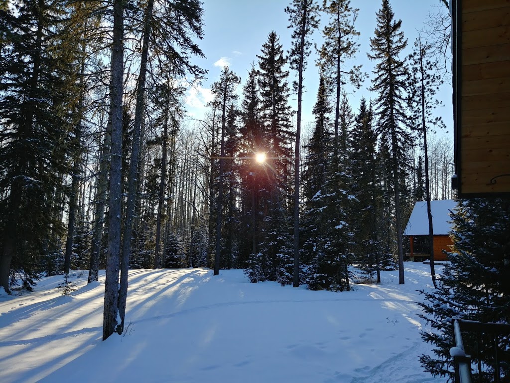 Bearberry Cabins | Clearwater County, AB T0M 1C0, Canada | Phone: (403) 638-4153