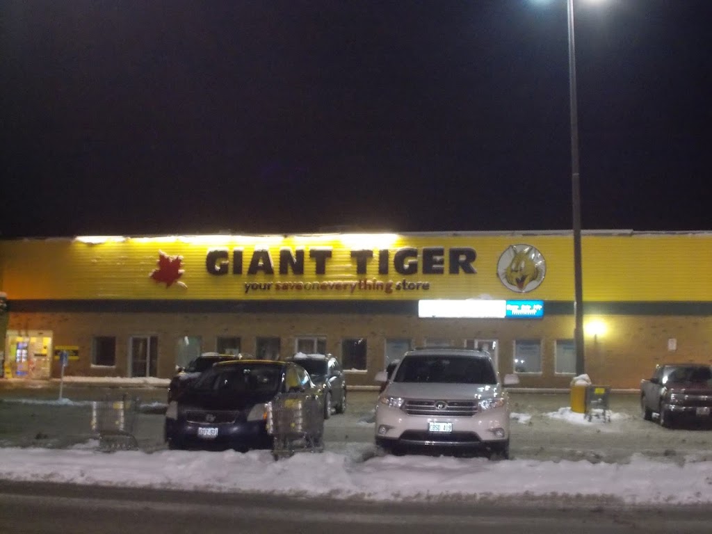 Giant Tiger | 150 West St, Simcoe, ON N3Y 5C1, Canada | Phone: (519) 428-2979