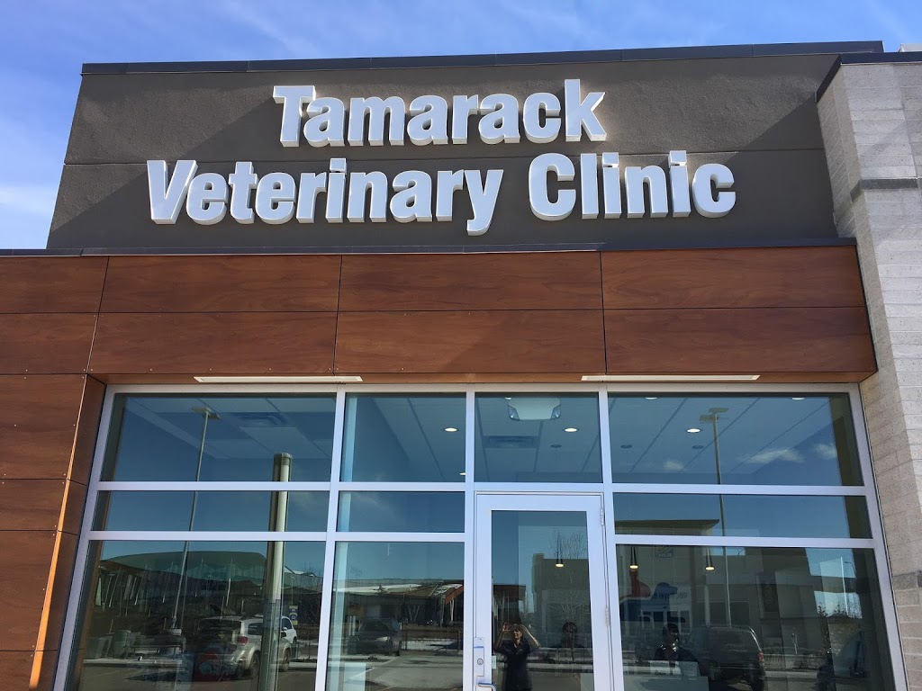 Tamarack Veterinary Clinic | 2531 17 St NW, Edmonton, AB T6T 0Y2, Canada | Phone: (780) 250-1700