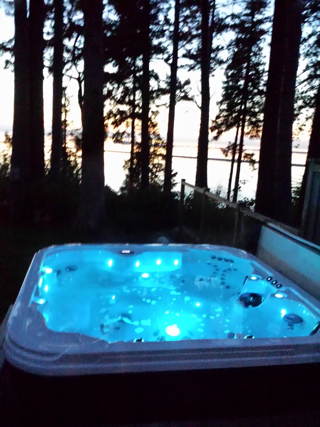 Aber Innovations Ltd. dba h2o spas | 7333 River Rd, Delta, BC V4G 1B1, Canada | Phone: (604) 946-1077