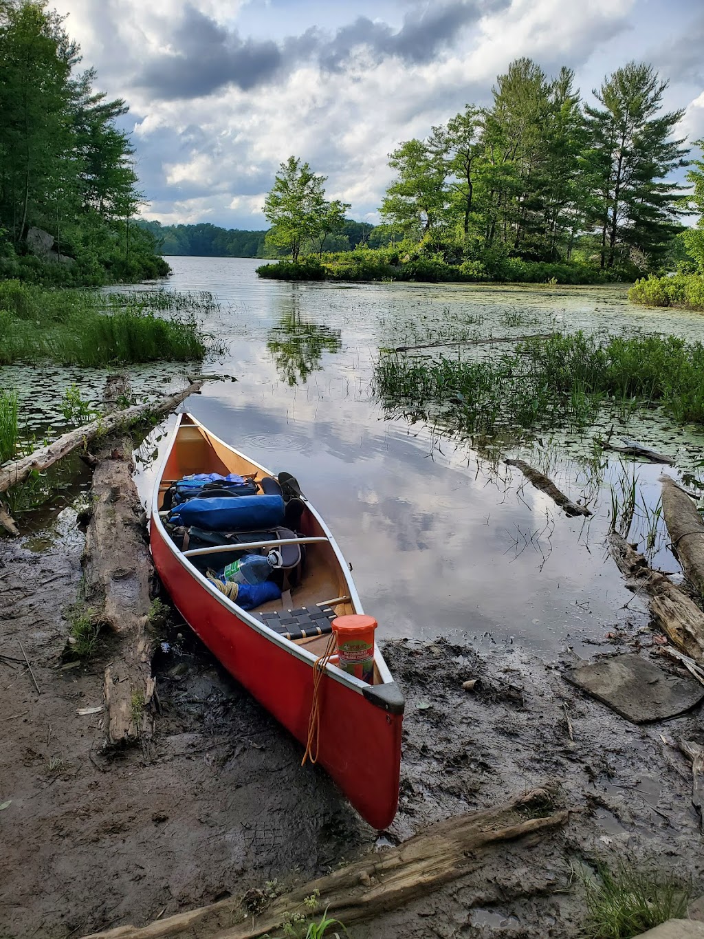 Little Turtle Lake | Coon Lake Rd, Harcourt, ON K0L 3E0, Canada | Phone: (613) 332-3940