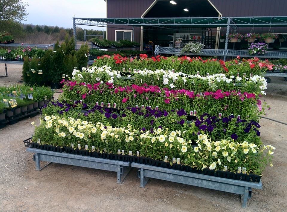 10 and 10 Garden Centre | 634026 ON-10 Building B, Mono, ON L9W 5P4, Canada | Phone: (647) 229-9400