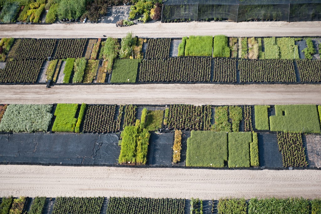 Sylvestria Pépinière Agroenvironnementale | 100 Rang Saint-Louis, Saint-Fulgence, QC G0V 1S0, Canada | Phone: (418) 672-2808