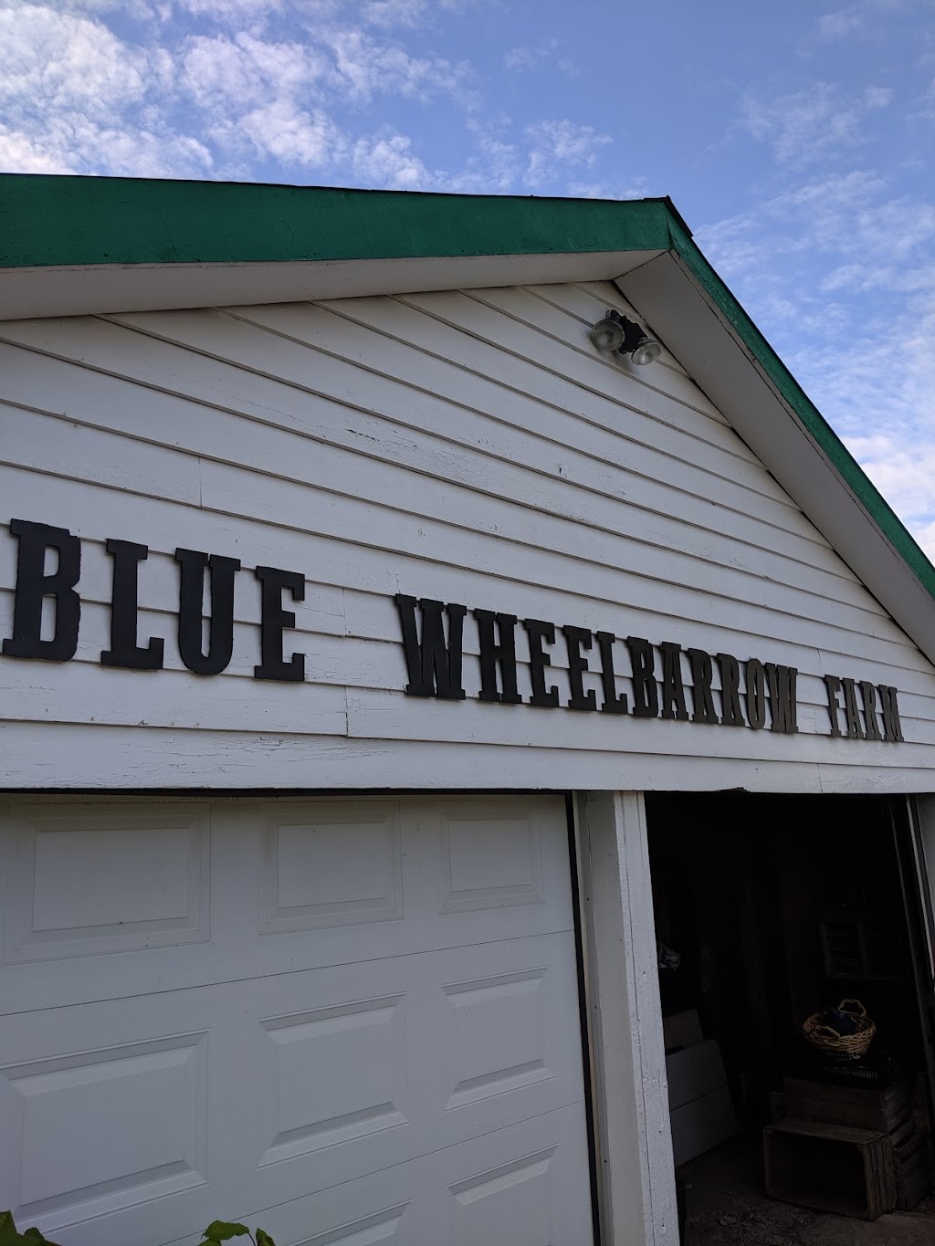 Blue Wheelbarrow Farm | 170 County Rd 32, Picton, ON K0K 2T0, Canada | Phone: (613) 827-1614