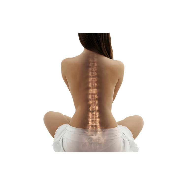 Caledon Chiropractic- Dr. Elizabeth Juchniewicz | 36 McCort Dr, Caledon Village, ON L7K 0B4, Canada | Phone: (416) 258-0167