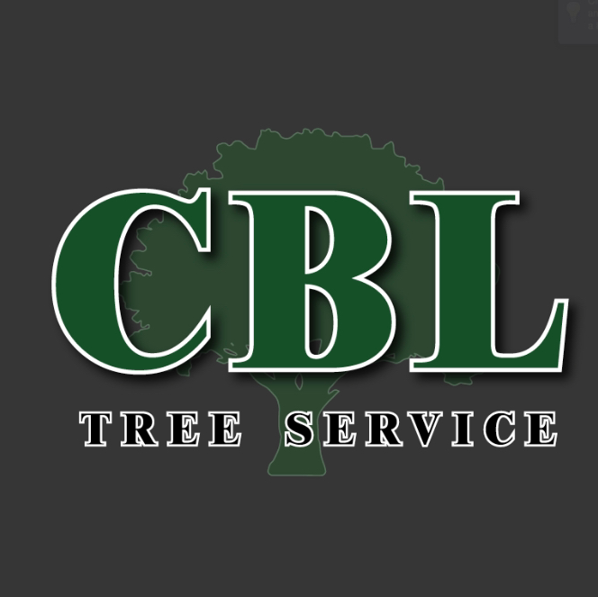 CBL Tree Service | 4 Delverton Pl, Toronto, ON M2J 1Y6, Canada | Phone: (416) 226-5654