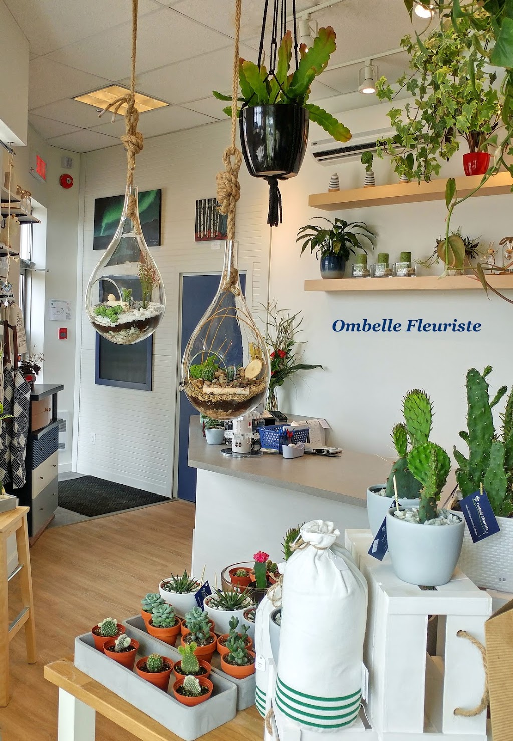 Ombelle Fleuriste | 191 Boul Sir-Wilfrid-Laurier Local 110, Saint-Basile-le-Grand, QC J3N 1R1, Canada | Phone: (450) 300-2793