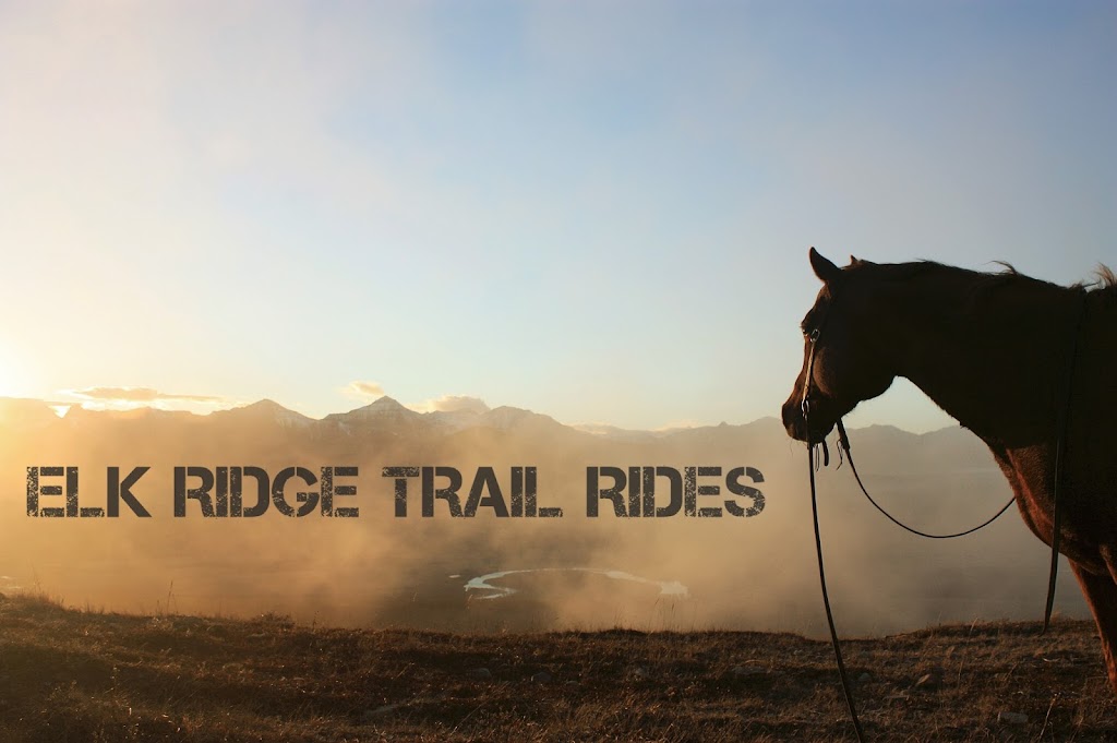 Waterton River Trail Rides Ltd. | SE 1/4 27-2-29 W4, Waterton Park, AB T0K 2M0, Canada | Phone: (403) 715-4156