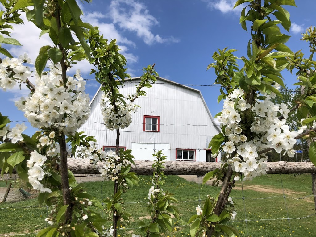 La Fruitière Des Cantons | 588 Chemin Allen, Shefford, QC J2M 1E7, Canada | Phone: (579) 488-2554