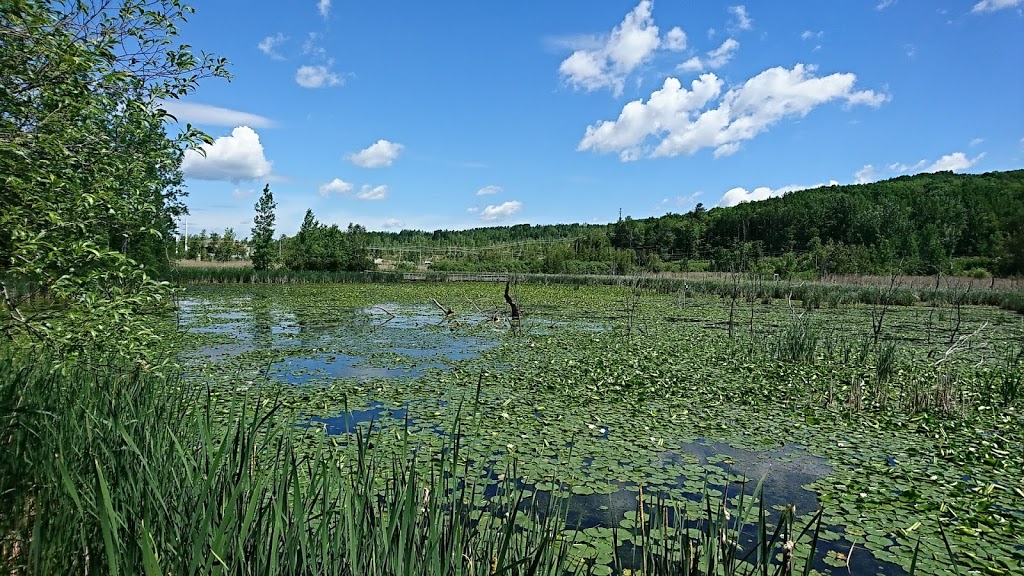 Marais Réal D.-Carbonneau | Rue Lévesque, Sherbrooke, QC J1E 1M4, Canada | Phone: (819) 821-5893