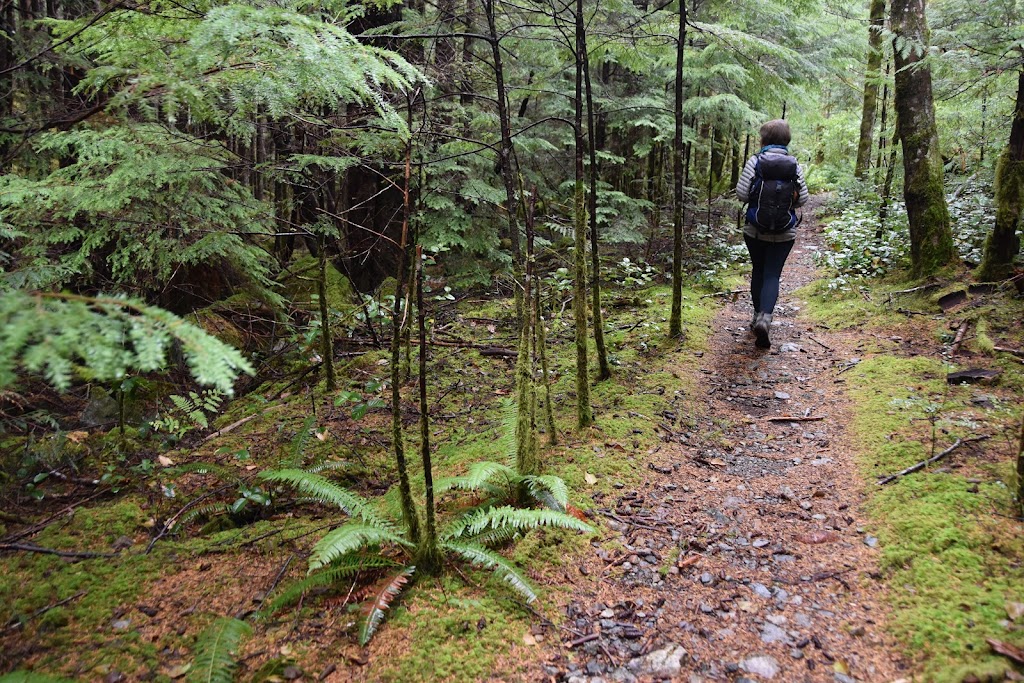 Small Inlet Marine Provincial Park | Quadra Island, BC, Canada | Phone: (800) 689-9025