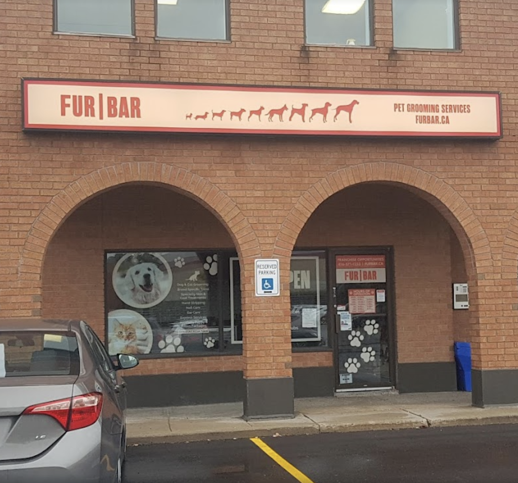 FUR BAR | 17665 Leslie St Unit 8, Newmarket, ON L3Y 3E3, Canada | Phone: (905) 953-1313